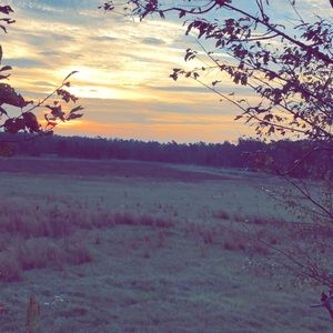 Meet your Posher, Jesup